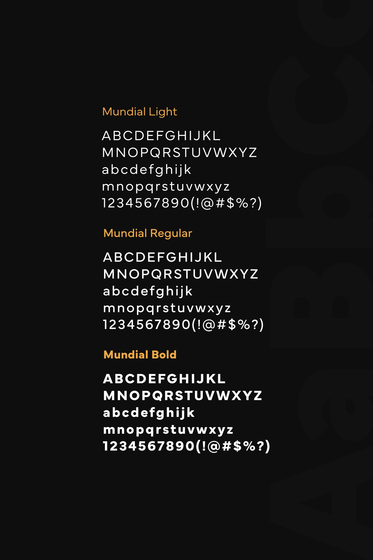 Demcon - Branding - Wolf Concept - Oradea